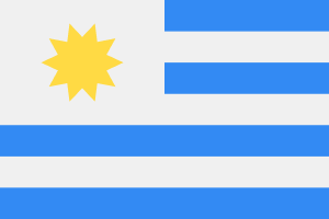 UY flag